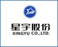 星宇车灯.png
